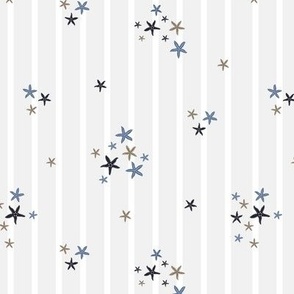 Sparkles of sea stars