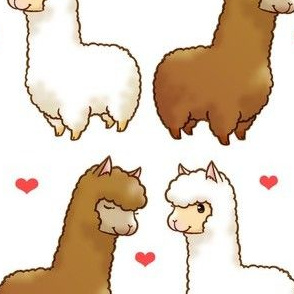 Alpaca Amour