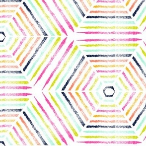 Squiggle Hexagon-Vibrant Spring Palette