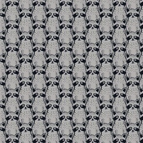 Raccoon Crowd, Dark