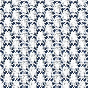 Racoon Crowd, Blue and White