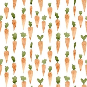 Small / Watercolor Carrots / White - Easter, Spring