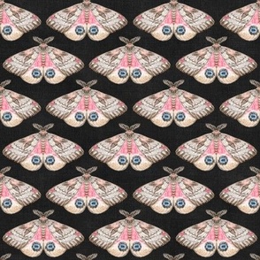 Pink Lady Moths (black) 9"