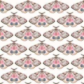 Pink Lady Moths 8"