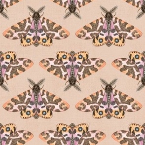 Tiger Moth Chevron (taupe brown) 12"