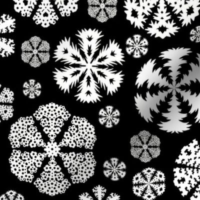 Cut out snowflakes white on black 10x10