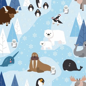Polar Animals - It's cold outside