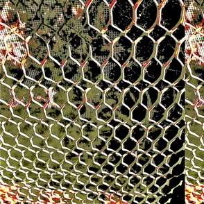 Chain Link