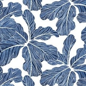 Fiddle Leaf Fig Blue on White • Large