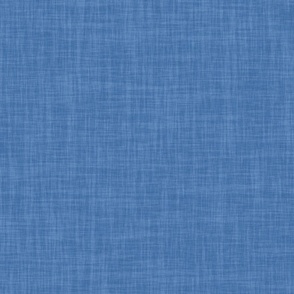 Japanese Azure Linen texture