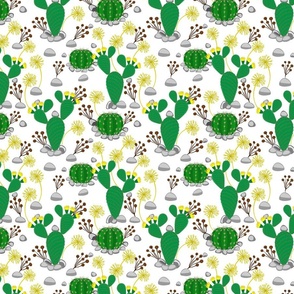 Green cactuses in bloom on white background. Floral seamless pattern.