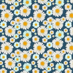 Blue and white daisies 