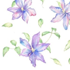 Purple Clematis Watercolour