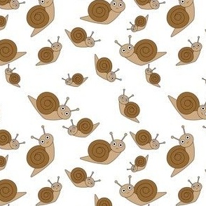 Smaller Snail Pattern White