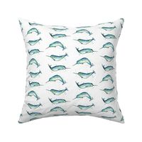 Narwhal whales on white