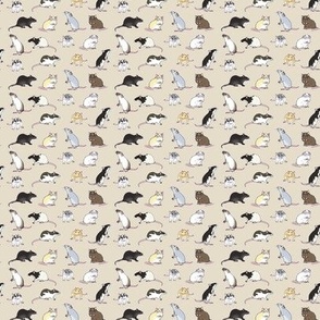mini rat pattern beige plain