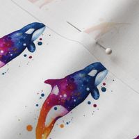 Colorful Orca Whale on white