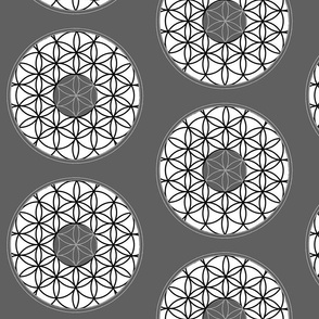 Neutral Geometric Wallpaper - Flower of Life Mandala