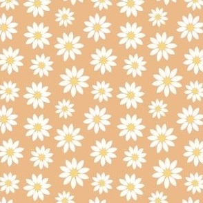 White daisies on orange