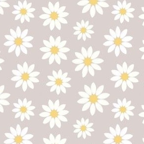 White daisies on beige
