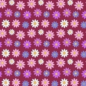 White, pink and purple daisies on maroon