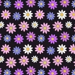 Pink and purple daisies on black