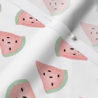 pastel watermelons [3]