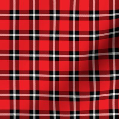 Red Plaid - Small (Christmas Collection)