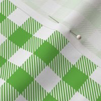 Green And White Check - Small (Halloween Collection)