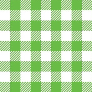 Green And White Check - Large (Halloween Collection)
