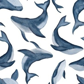 watercolor whales [3]