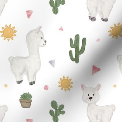 llama sunshine and cactus