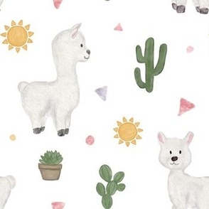 llama sunshine and cactus
