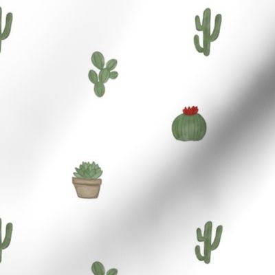 mini cactus [1]