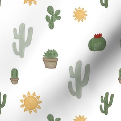 mini cactus [2]