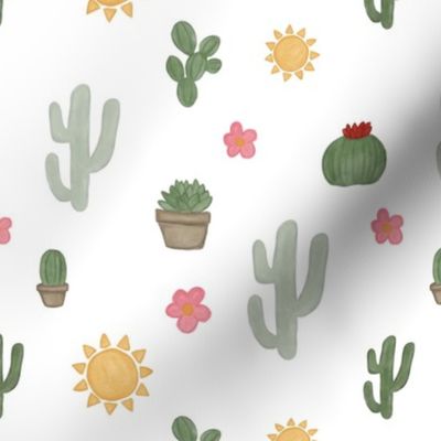 mini cactus [3]
