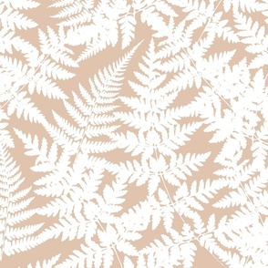 calming white ferns on terracotta background M