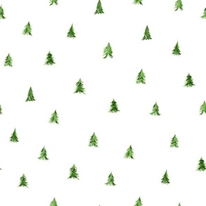 Small Fir Trees on White