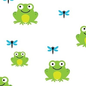 Frog and dragonfly