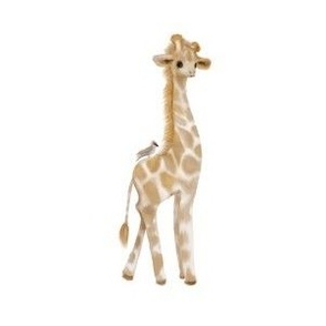 Baby Giraffe on white
