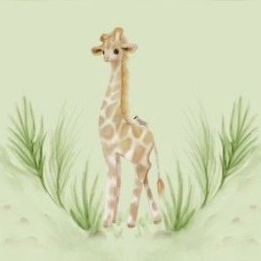 Baby Giraffe  on light green