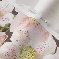 LENTEN ROSES - BARKCLOTH BIRDS COLLECTION (TAUPE)