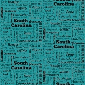 South Carolina cities, teal - 4 inch repeat