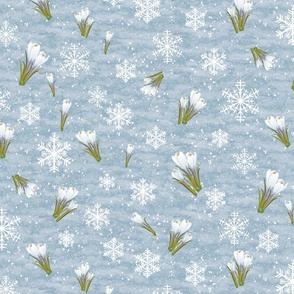 Snowflakes, Crocus, Snow, & Ice-L