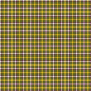 Bhraeme Clan Plaid Small