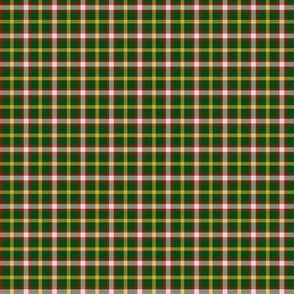 Lewin Clan Plaid Small