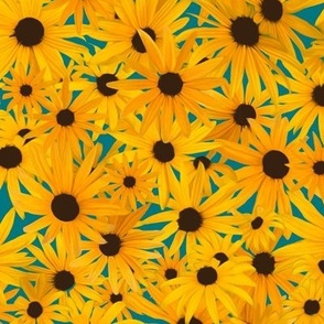 Black Eyed Susans