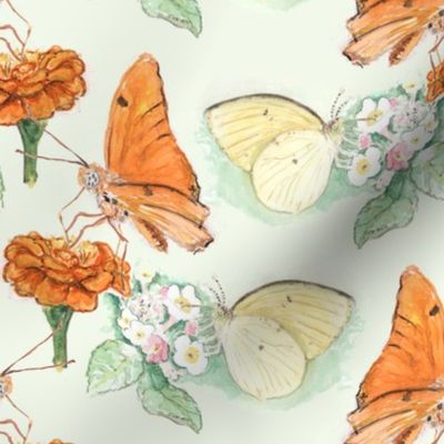 Watercolor Julia and Sulphur Butterflies