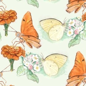 Watercolor Julia and Sulphur Butterflies