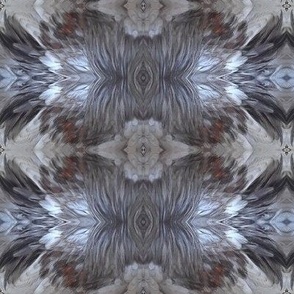 DU-B CHICKEN FEATHERS ABSTRACT 49